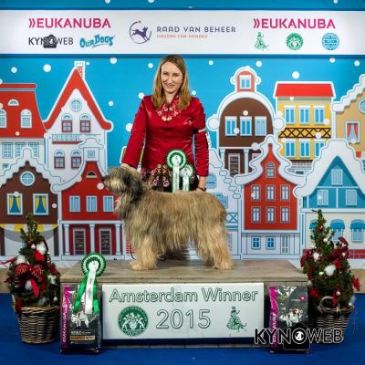 BOB Amsterdam winners show