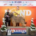 NL CH You Bring Me Joy Moravia Campanella At Starwell  BWNL17