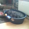 merdoc relaxing at home